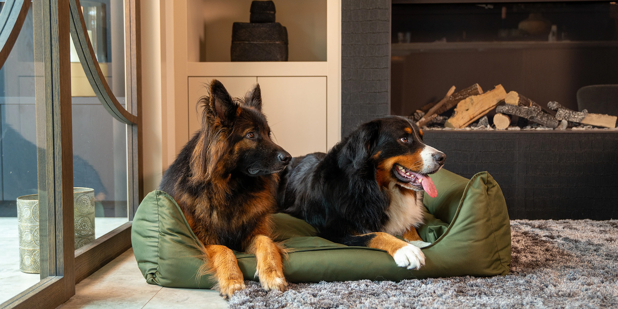 Hondenbenodigdheden Korting 1 Hondenbenodigdheden Korting -Hondenbenodigdheden Korting 1