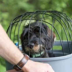 Trixie Friends On Tour Fietsmand Voor Bagagedrager -Hondenbenodigdheden Korting 122212 trixie friendsontour fahrradkorb gepaecktraeger hs 15 1