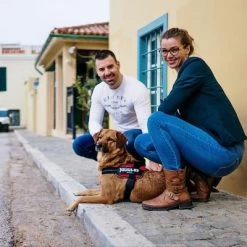 Julius K9 JULIUS-K9 IDC® POWAIR Tuigje - Oranje -Hondenbenodigdheden Korting 123198 julius k9 idc powair geschirr orange hs 21 1