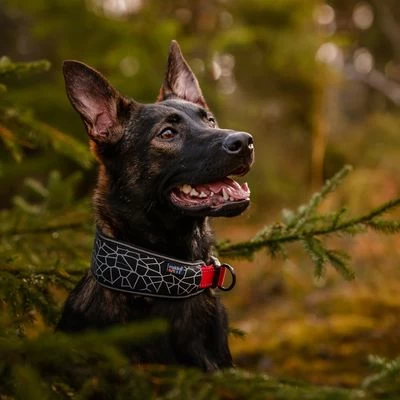 Rukka® Cube Soft Kraag, Rood / Zwart 5 Rukka® Cube Soft Kraag, Rood / Zwart - Afbeelding 3