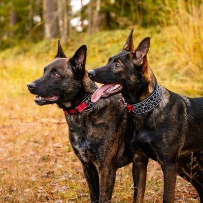 Rukka® Cube Soft Kraag, Rood / Zwart 7 Rukka® Cube Soft Kraag, Rood / Zwart - Afbeelding 5