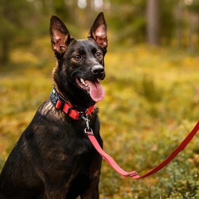 Rukka® Cube Soft Kraag, Rood / Zwart 8 Rukka® Cube Soft Kraag, Rood / Zwart - Afbeelding 6