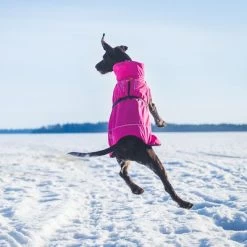 Rukka® Warmup Hondenjas - Roze 12 Rukka® Warmup Hondenjas - Roze -Hondenbenodigdheden Korting 139904 lfashion rukka warmup hundemantel hotpink 38cm hs 04 1