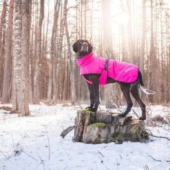 Rukka® Warmup Hondenjas - Roze 10 Rukka® Warmup Hondenjas - Roze -Hondenbenodigdheden Korting 139904 lfashion rukka warmup hundemantel hotpink 38cm hs 05res 6