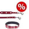 Hunter Set: Halsband Swiss + Hondenriem Swiss -Hondenbenodigdheden Korting 140529 7