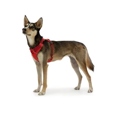 Ruffwear Front Range Hondentuig, Red Sumac - Afbeelding 5