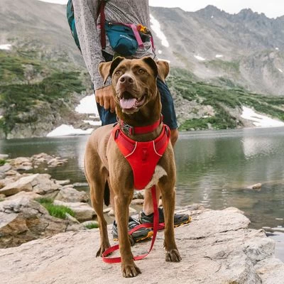 Ruffwear Front Range Hondentuig, Red Sumac - Afbeelding 4