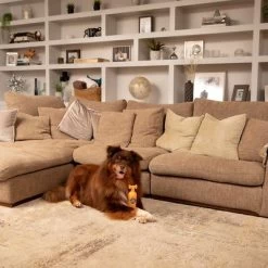 Pet Head Ditch The Dirt Shampoo -Hondenbenodigdheden Korting 159700 companyofanimals pethead ditchthedirt shampoo 300ml hs 06 9