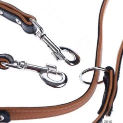 Heim Set: Hondenriem Stars + Leren Halsband Stars -Hondenbenodigdheden Korting 161039 heim 2meterleine stars3 1