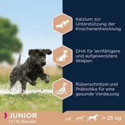 Eukanuba Junior Large Breed Kip Hondenvoer -Hondenbenodigdheden Korting 162904 tetragmbhiams eukanuba junior large breed huhn dog 15kg hs 04 6