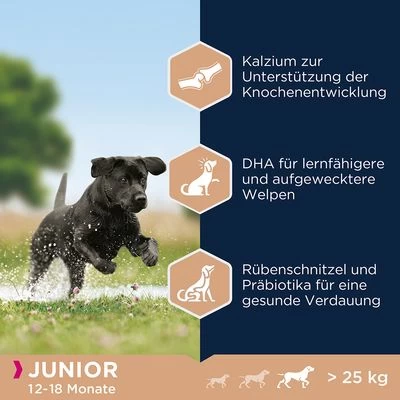 Eukanuba Junior Large Breed Kip Hondenvoer - Afbeelding 3