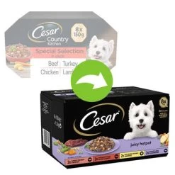 Cesar Juicy Hotpot Mixpakket Hondenvoer