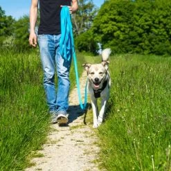 Petlando Pawz & Pepper Hondenlijn Strong Blauw -Hondenbenodigdheden Korting 174796 174797 pawznpepper schleppleine rund geflochten blau hs 05 6