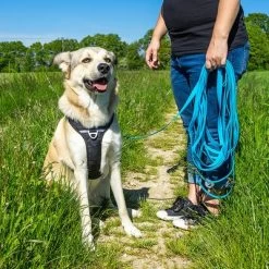 Petlando Pawz & Pepper Hondenlijn Strong Blauw -Hondenbenodigdheden Korting 174796 174797 pawznpepper schleppleine rund geflochten blau hs 06 9