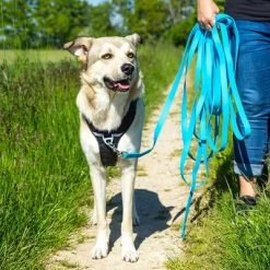 Petlando Pawz & Pepper Hondenlijn Strong Blauw -Hondenbenodigdheden Korting 174796 174797 pawznpepper schleppleine rund geflochten blau hs 07 6