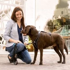 Curli Verstelbare Hondenlijn Nylon Zwart -Hondenbenodigdheden Korting 177008 curli verstellbare leine nylon schwarz hs 03 8