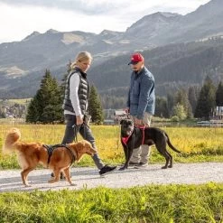 Curli Belka Comfort Tuigje - Rood 26 Curli Belka Comfort Tuigje - Rood -Hondenbenodigdheden Korting 177196 curli belka comfort geschirr rot hs 12 1