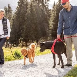 Curli Belka Comfort Tuigje - Rood 27 Curli Belka Comfort Tuigje - Rood -Hondenbenodigdheden Korting 177196 curli belka comfort geschirr rot hs 13 7