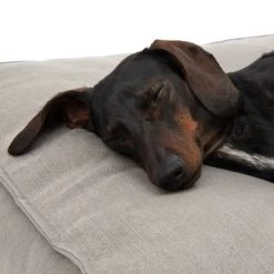 Hondenbed Hamilton EcoLIFE - Grijs -Hondenbenodigdheden Korting 180715 hamilton ecolife grau fg 6400 5