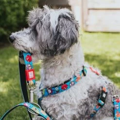 Max & Molly H-Tuig Little Monsters -Hondenbenodigdheden Korting 186583 186584 189797 maxnmolly hg eschirr littlemonsters hs 01 7