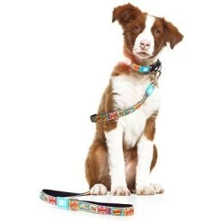 Max & Molly Korte Lijn Comic -Hondenbenodigdheden Korting 186587 maxnmolly kurzleine comic hs 03 2