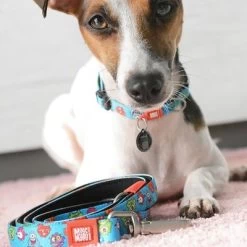 Max & Molly Korte Lijn Little Monsters 12 Max & Molly Korte Lijn Little Monsters -Hondenbenodigdheden Korting 189596 maxnmolly kurzleine little monsters dog hs 02 6