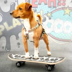 Max & Molly H-Tuigje Comic -Hondenbenodigdheden Korting 189999 186590 190000 maxnmolly h geschirr comic hs 03 8