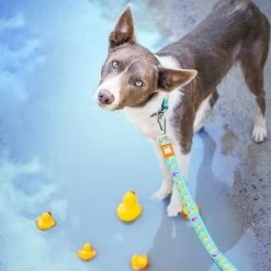 Max & Molly Multifunctionele Lijn Ducklings -Hondenbenodigdheden Korting 190196 190197 190198 maxnmolly multifunktionsleine ducklings hs 02 9