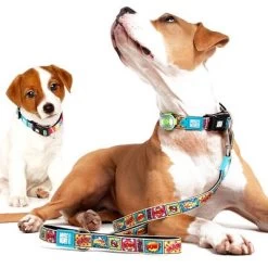 Max & Molly Smart ID Halsband Comic 17 Max & Molly Smart ID Halsband Comic -Hondenbenodigdheden Korting 190201 190203 186592 190206 maxnmolly smartid halsband comic dog hs 02 3