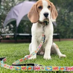 Max & Molly Smart ID Halsband Comic 25 Max & Molly Smart ID Halsband Comic -Hondenbenodigdheden Korting 190201 190203 186592 190206 maxnmolly smartid halsband comic dog hs 07 6