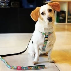 Max & Molly Korte Lijn Donuts 9 Max & Molly Korte Lijn Donuts -Hondenbenodigdheden Korting 190208 maxnmolly kurzleine donuts hs 02 4