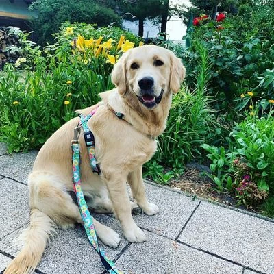 Max & Molly Multifunctionele Lijn Donuts 6 Max & Molly Multifunctionele Lijn Donuts - Afbeelding 4