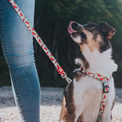 Max & Molly Multifunctionele Hondenlijn Watermelon 8 Max & Molly Multifunctionele Hondenlijn Watermelon - Afbeelding 6