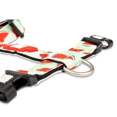 Max & Molly H-Tuig Watermelon - Afbeelding 6