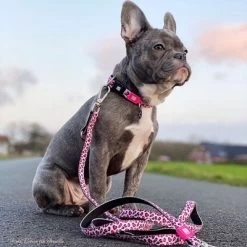 Max & Molly Multifunctionele Hondenlijn Leopard Pink -Hondenbenodigdheden Korting 190422 190423 190996 pla maxnmolly multifunktionsleine leopardpink hs 02 9