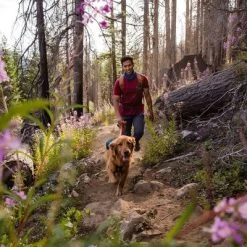 Ruffwear Switchbak Harnas, Blue Moon -Hondenbenodigdheden Korting 193199 193200 193201 accapi ruffwear switchbak harness bluemoon dog hs 11 6