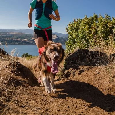 Ruffwear Switchbak Harnas, Rood (Sumak) - Afbeelding 12