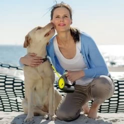 Flexi New Neon Rollijn Tape, 5 M -Hondenbenodigdheden Korting 198297 198296 198298 flexi new neongurt leine hs 06 7