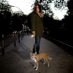 Flexi New Neon Rollijn Tape, 5 M -Hondenbenodigdheden Korting 198297 198296 198298 flexi new neongurt leine hs 07 1