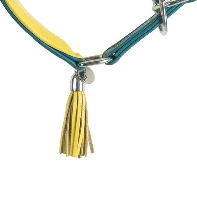 Trixie Active Comfort Halsband Voor Windhonden, Petrol/Geel 8 Trixie Active Comfort Halsband Voor Windhonden, Petrol/Geel - Afbeelding 6