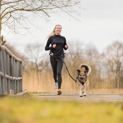 Trixie Jogginggordel Met Lijn - Grijs/zwart 5 Trixie Jogginggordel Met Lijn - Grijs/zwart - Afbeelding 3