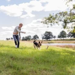 Trixie Triggerhengel Voor Honden -Hondenbenodigdheden Korting 209093 trixie reizangel hs 06 8