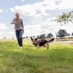 Trixie Triggerhengel Voor Honden -Hondenbenodigdheden Korting 209093 trixie reizangel hs 08 7