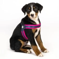 Max & Molly Q-Fit Tuigje Matrix, Roze -Hondenbenodigdheden Korting 210400 209040 210401 209041 210496 210497 maxnmolly qfit g eschirr matrix pink hs 04 2