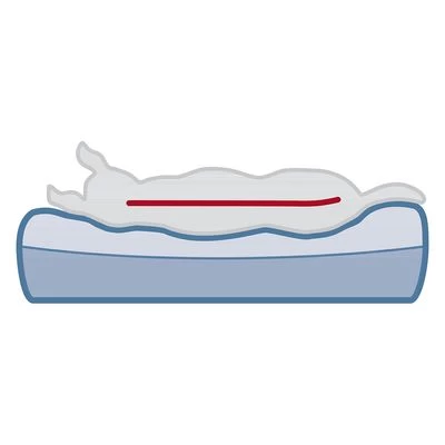 Trixie Vitaal Mand Remo 9 Trixie Vitaal Mand Remo - Afbeelding 7