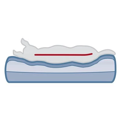 Trixie Vital Bank Bendson 14 Trixie Vital Bank Bendson - Afbeelding 12