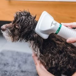 Trixie Heteluchtborstel -Hondenbenodigdheden Korting 212217 trixie warmluftbuerste 300w hs 19 8