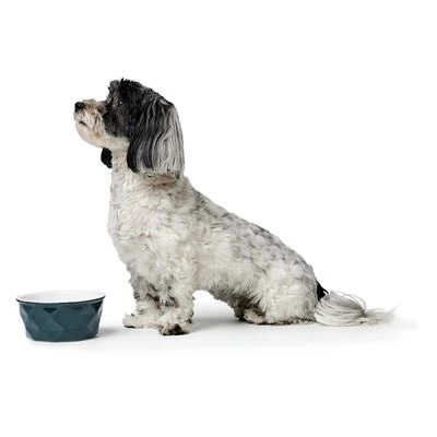 HUNTER Keramieken Voerbak Eiby, Blauw - Afbeelding 3