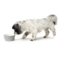 HUNTER Keramieken Voerbak Eiby, Grijs -Hondenbenodigdheden Korting 212966 212968 212970 hunter keramik napf eiby grau hs3 6