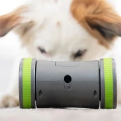 PetSafe Kibble Chase Zelfbewegend Beloningsspeelgoed -Hondenbenodigdheden Korting 215613 radiosystems petsafe kibble chase selbstbewegendes belohnungsspielzeug hs 05 3